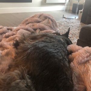 Meet your Posher, Vanessa